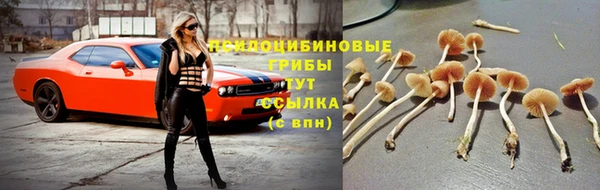 мет Нефтегорск