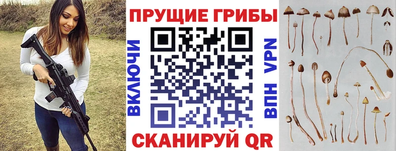 Псилоцибиновые грибы Magic Shrooms  купить наркотик  Ряжск 